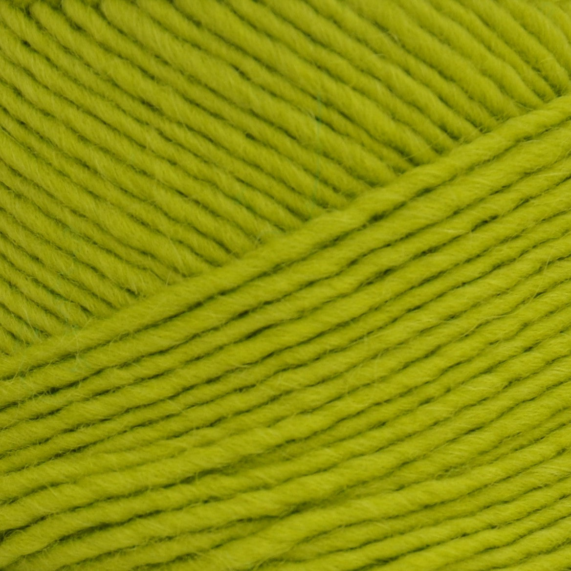 Brown Sheep Lamb's Pride yarn — 204