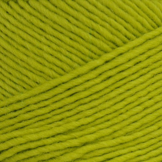 Brown Sheep Lamb's Pride yarn — 204