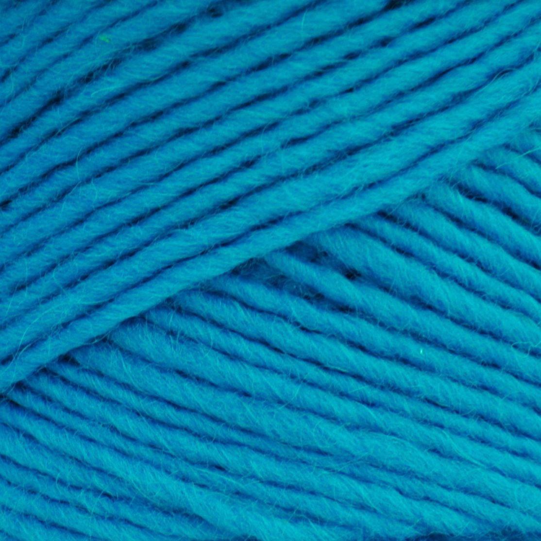 Brown Sheep Lamb's Pride yarn — 215