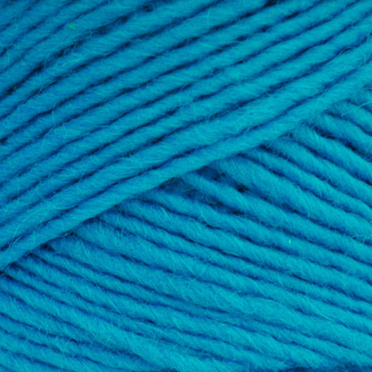 Brown Sheep Lamb's Pride yarn — 215