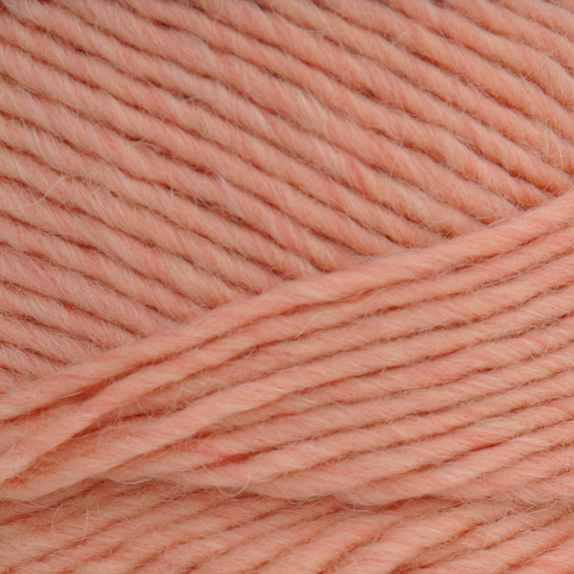 Brown Sheep Lamb's Pride yarn — 221