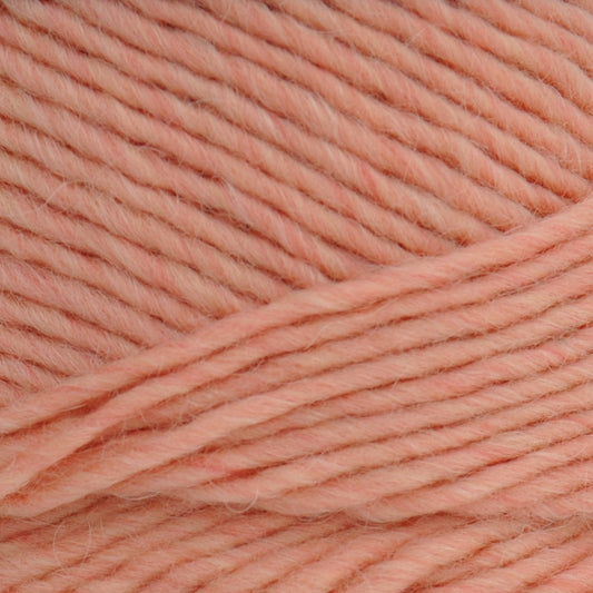 Brown Sheep Lamb's Pride yarn — 221