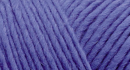 Brown Sheep Lamb's Pride yarn — 59