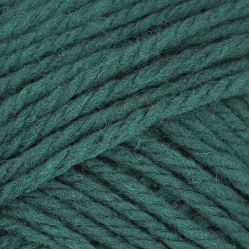 Brown Sheep Nature Spun Worsted N25 Enchanted Forest