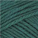 Brown Sheep Nature Spun Worsted N25 Enchanted Forest