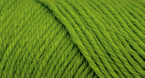 Brown Sheep Wildfoote yarn — 44