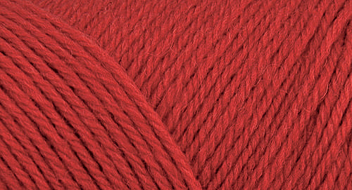 Brown Sheep Wildfoote yarn — 62