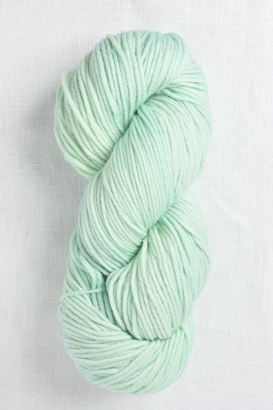 Malabrigo Rios 708 Cucumber skein