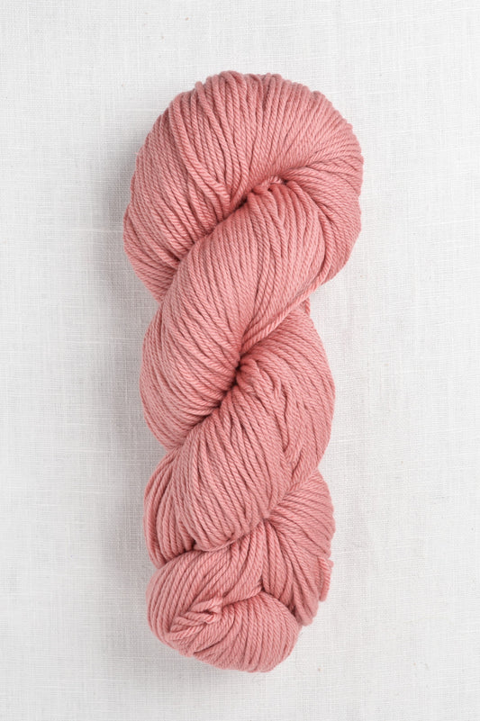 Malabrigo Rios 656 Lapacho skein