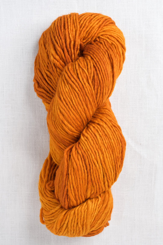 Worsted 96 sunset skein