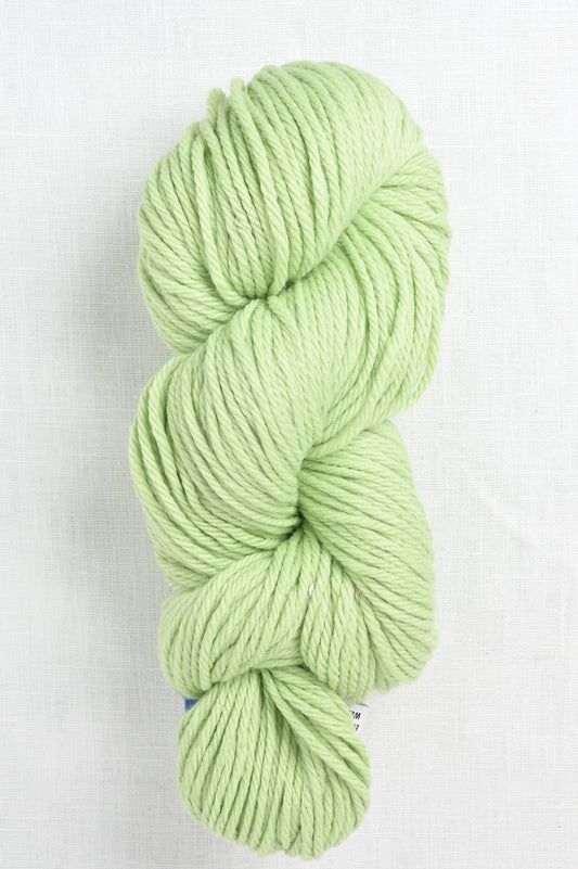 Berroco Vintage Chunky 6124 Kiwi skein