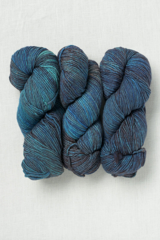 Worsted 362 under-the-sea skein