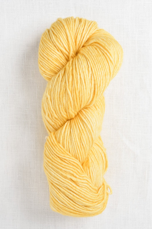 Worsted 19 pollen skein