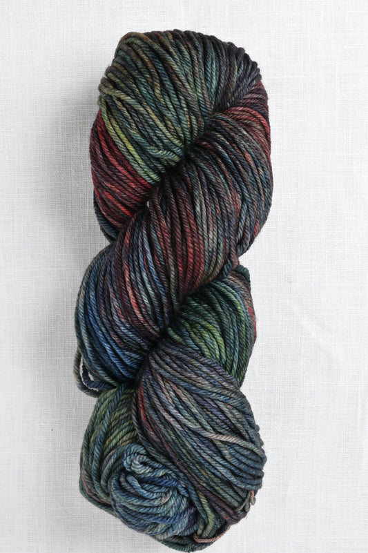 Malabrigo Rios 139 Pocion skein